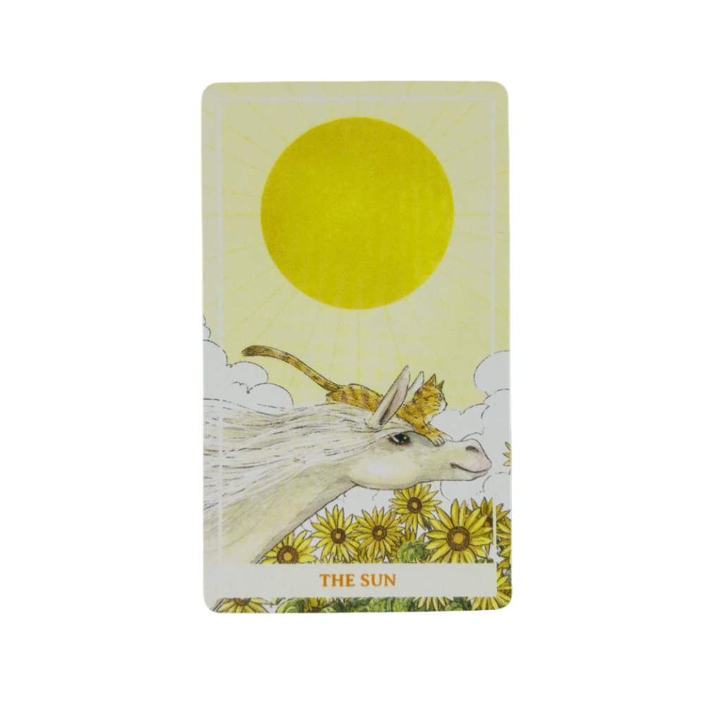 Sunny Orange Cat Tarot Cards A - Party Games Best avis et prix